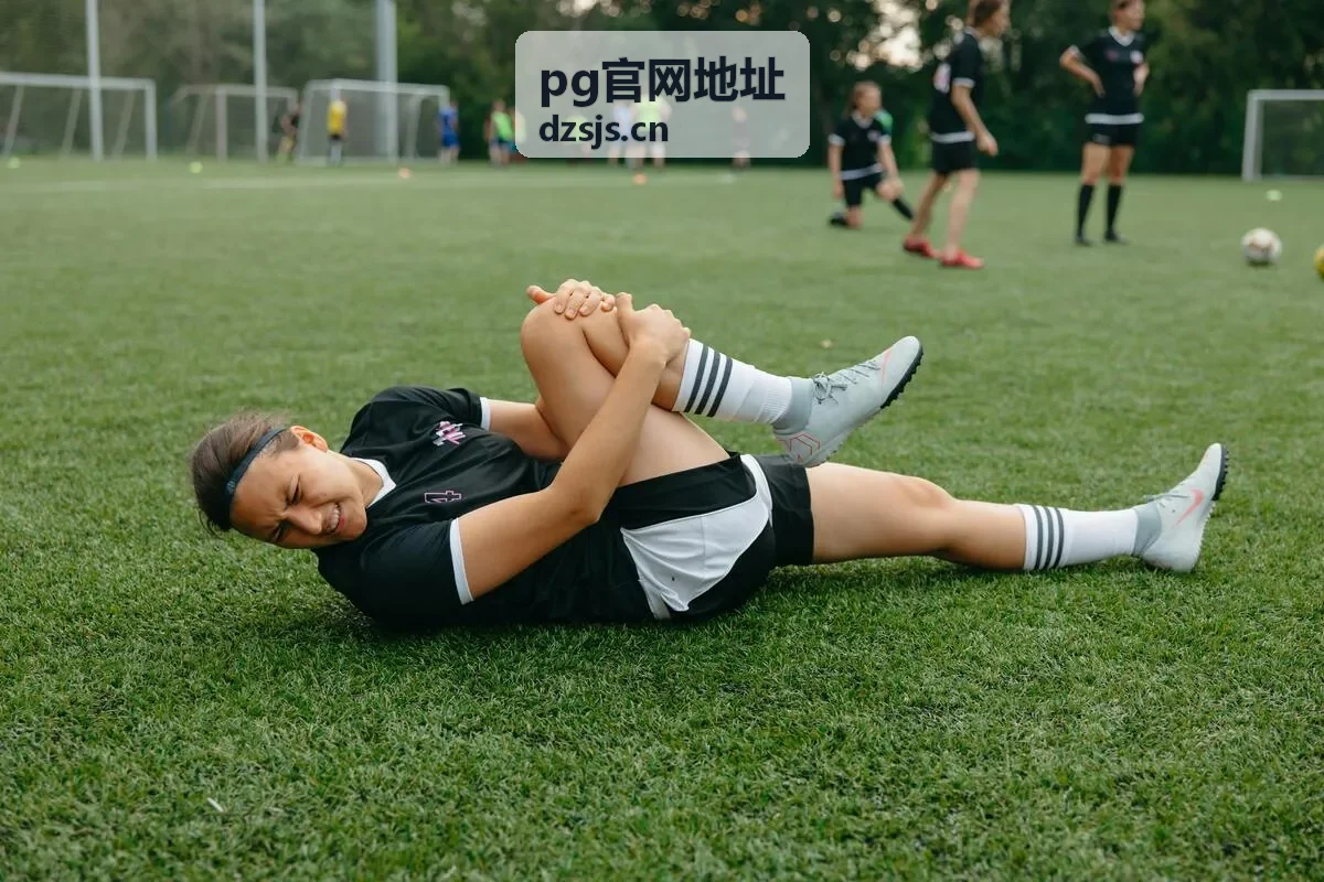 pg官网地址核对栏目展示图