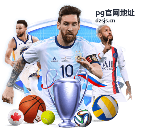 pg官网地址问题处理展示图