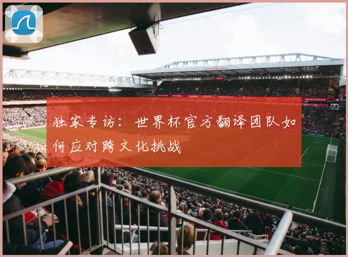独家专访：世界杯官方翻译团队如何应对跨文化挑战