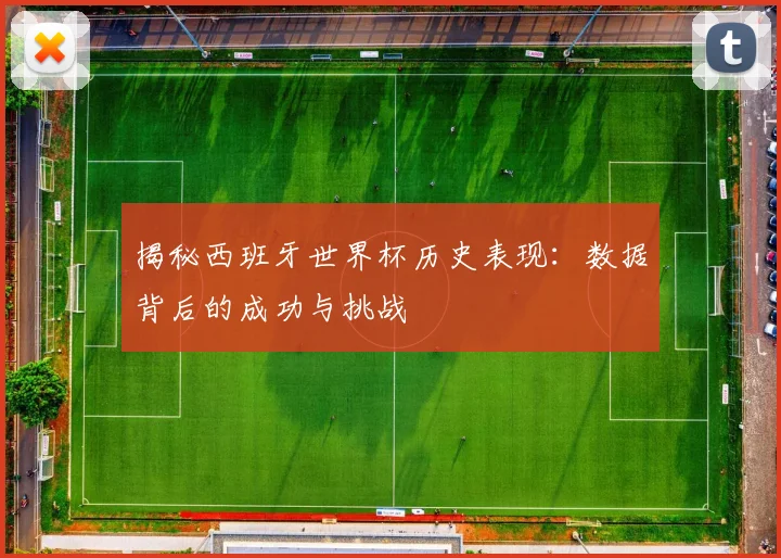 揭秘西班牙世界杯历史表现：数据背后的成功与挑战